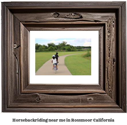 horseback riding near me in Rossmoor, California